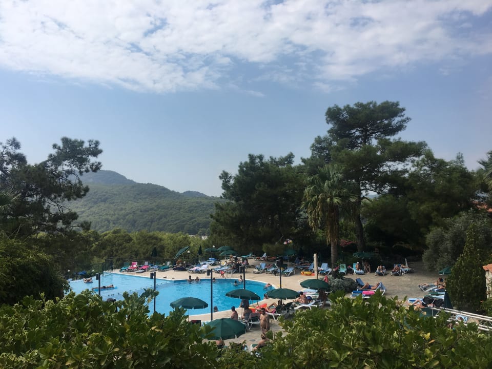 Ausblick Montana Pine Resort