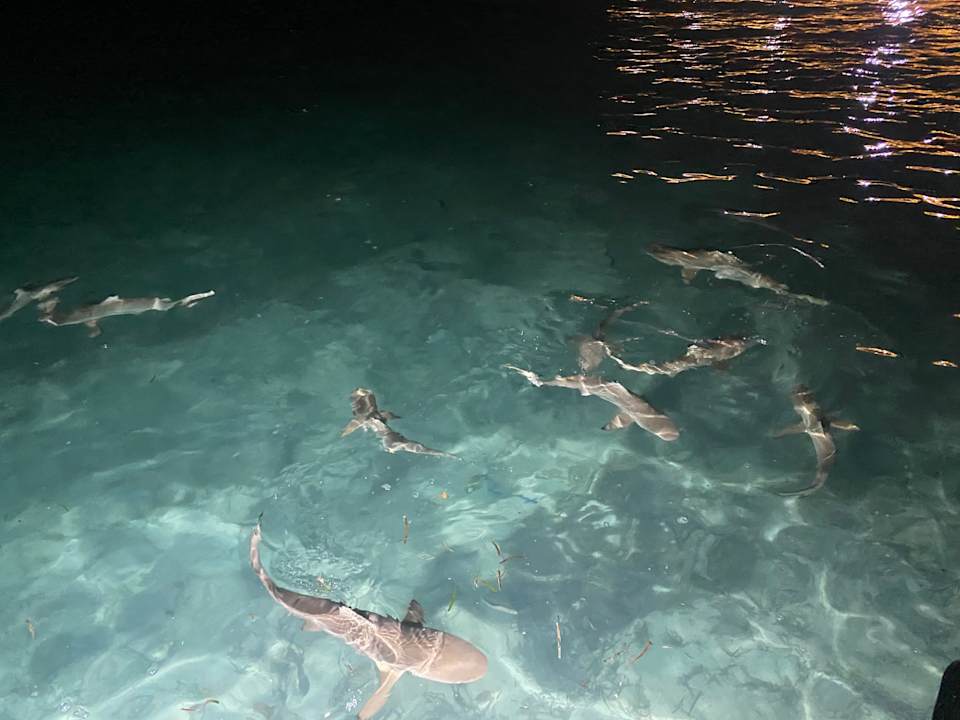 Strand Adaaran Select Hudhuran Fushi - Premium All Inclusive