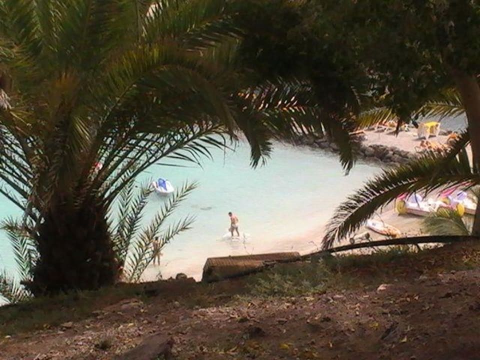 Roslinnosc Club Monte Anfi