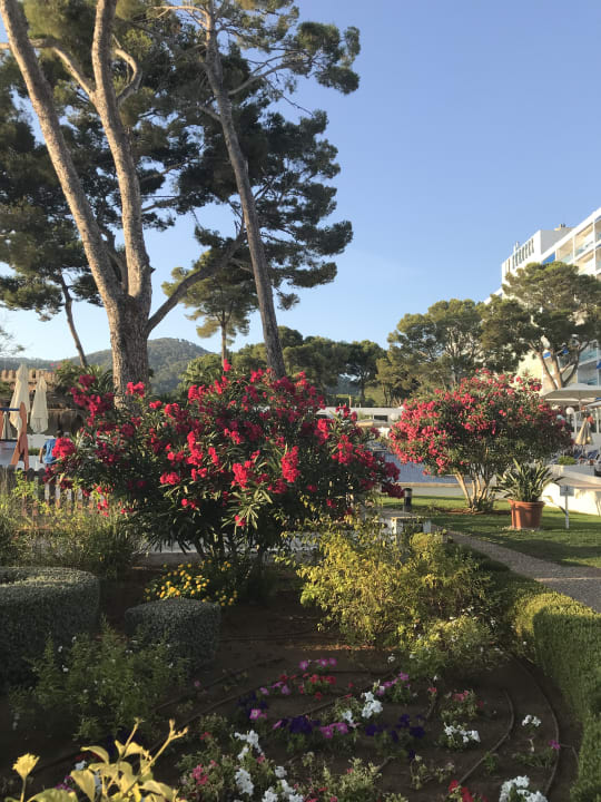 Gartenanlage Hipotels Eurotel Punta Rotja Golf & Spa