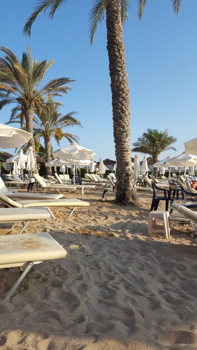 Strand TUI BLUE Pioneer Beach