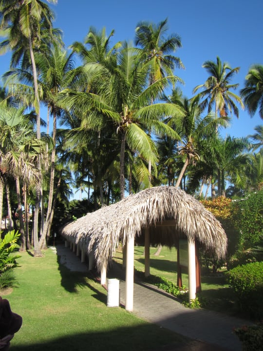 Gartenanlage Grand Palladium Punta Cana Resort & Spa