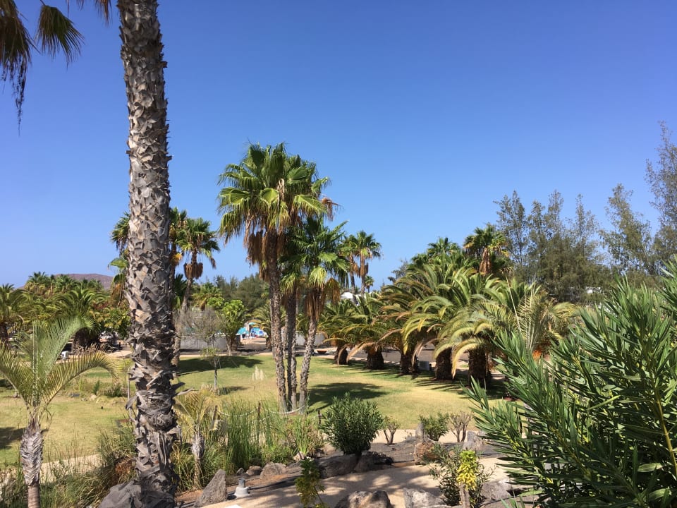 Gartenanlage Hotel THB Tropical Island