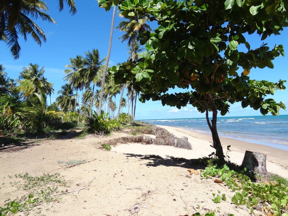 Strand Hotel Porto Zarpa