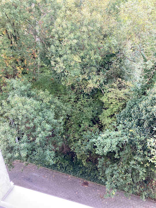 Außenansicht Best Western Plaza Hotel Zwickau