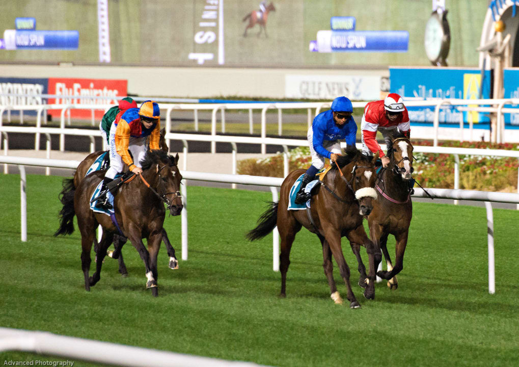 Pferderennen The Meydan The Meydan Hotel