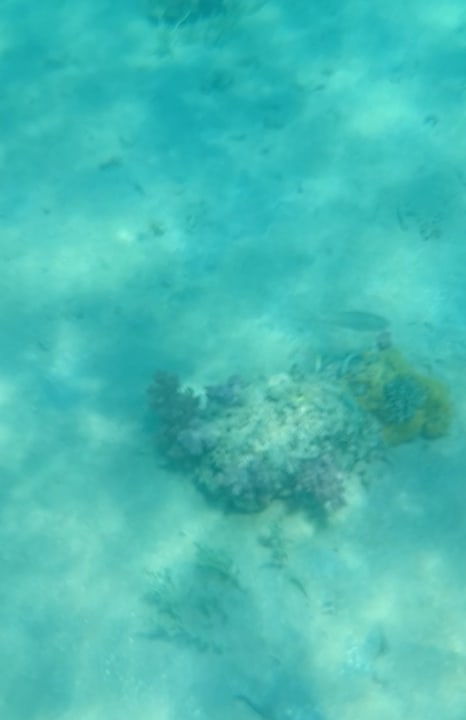 Strand Palm Beach Resort