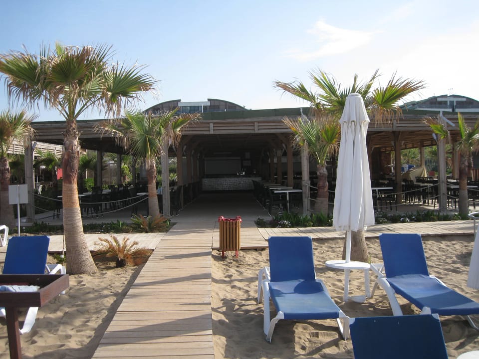 Beachbar Dream World Resort & Spa
