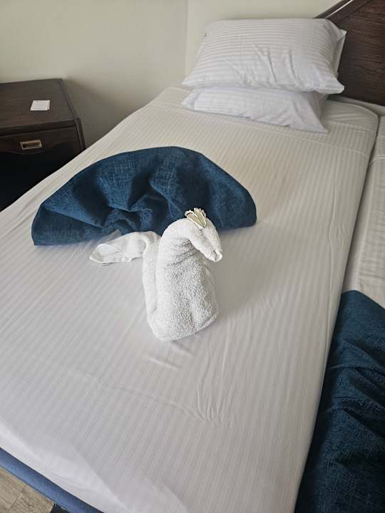 Zimmer Seagull Beach Resort