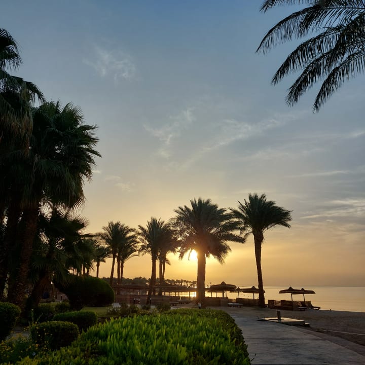 Ausblick Palm Royale Resort - Soma Bay