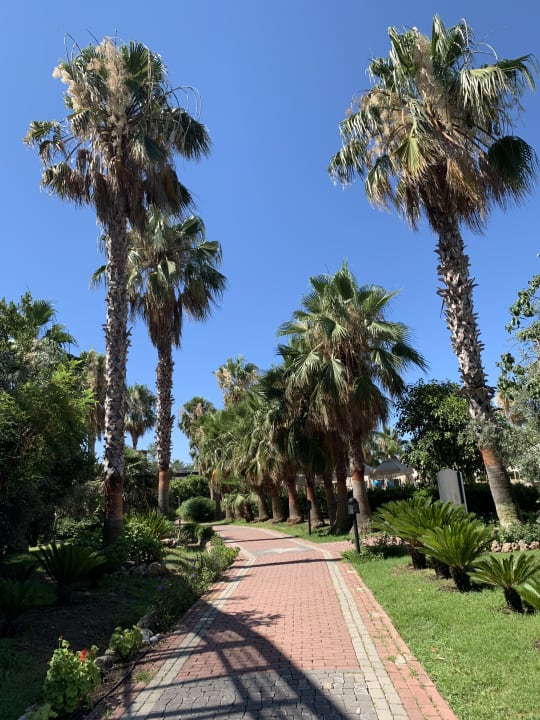 Gartenanlage Seaden Sea World Resort & Spa