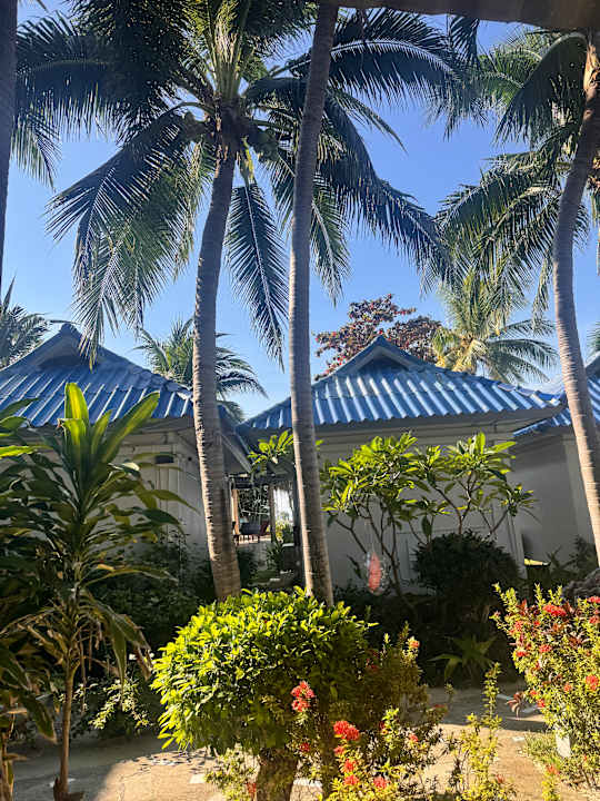 Gartenanlage Sunset Beach Villas