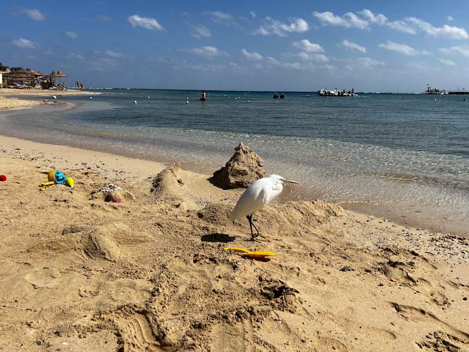 Strand Brayka Bay Resort