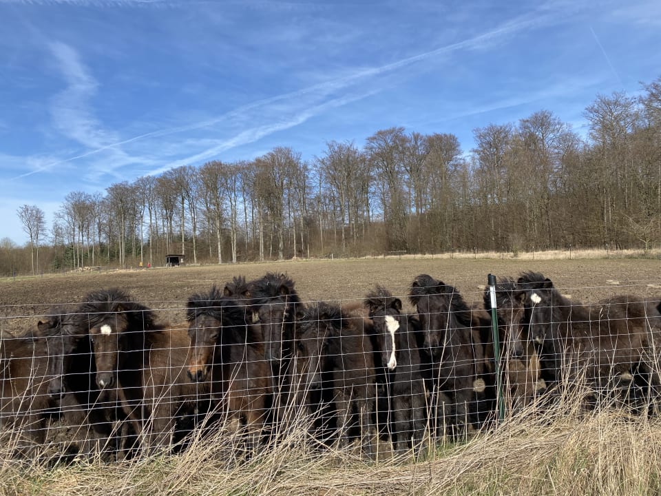 Sonstiges Hotel Rappenhof