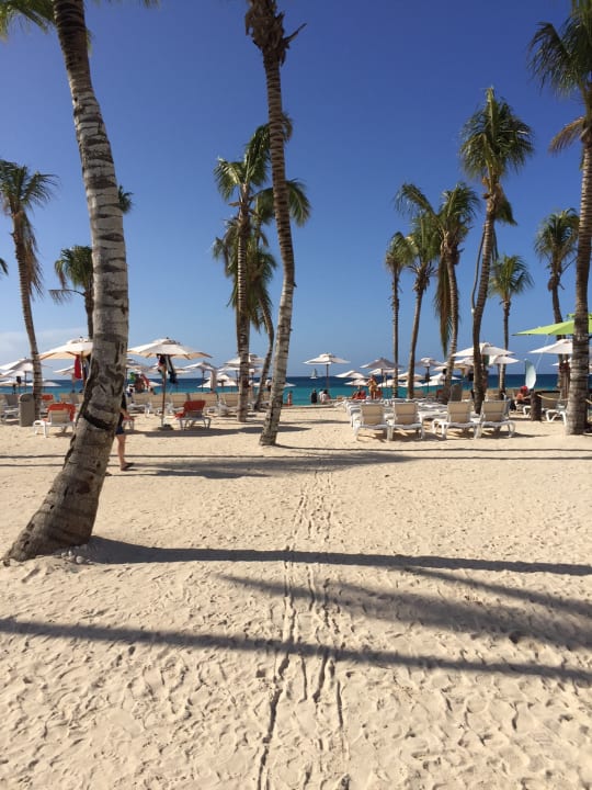 Strand Dreams Dominicus La Romana