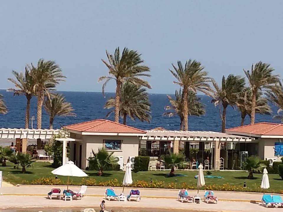 Pool Stand Palmen Sonne  Rixos Sharm El Sheikh Adults Only 18 +