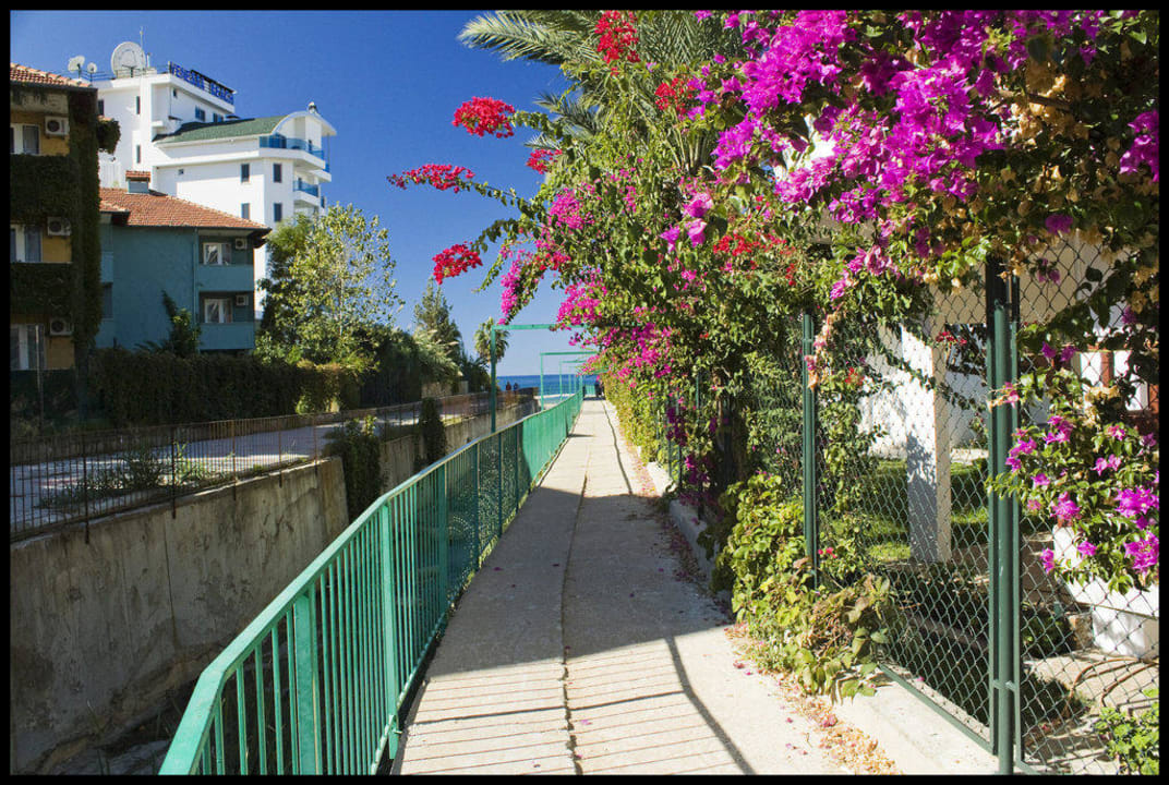 Weg zum Strand My Home Resort