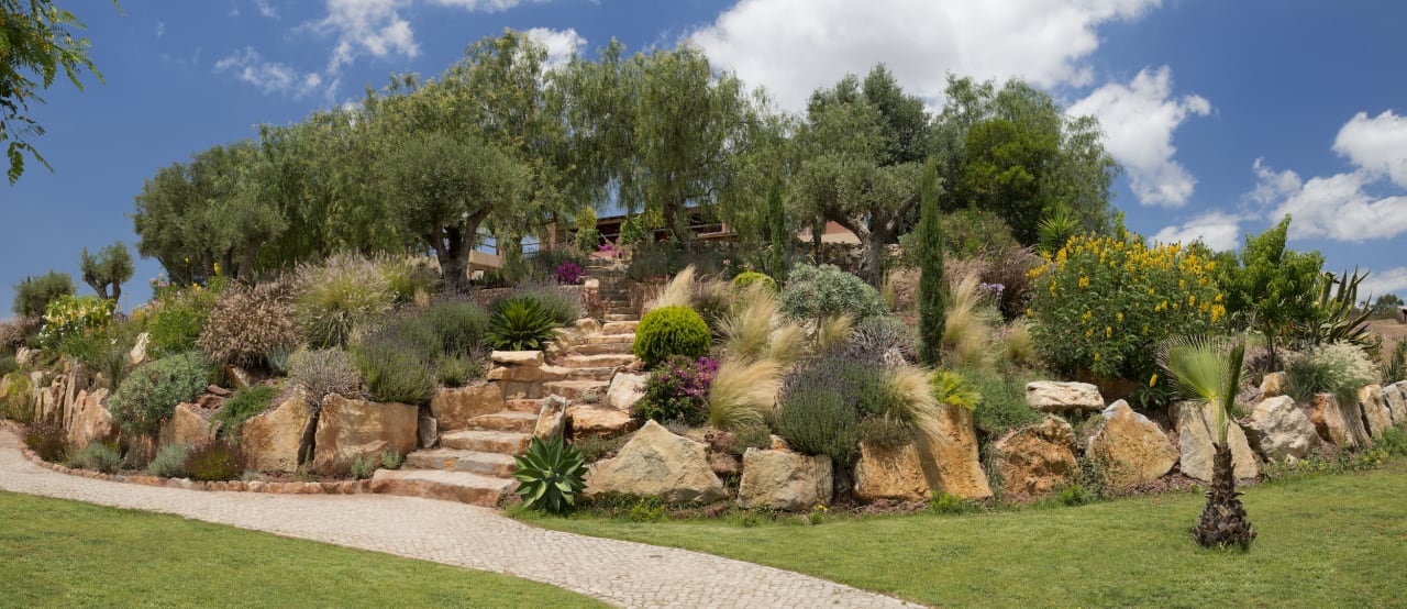 Gartenanlage Gato Preto de Silves