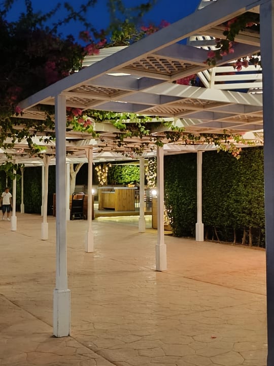 Gartenanlage Desert Rose