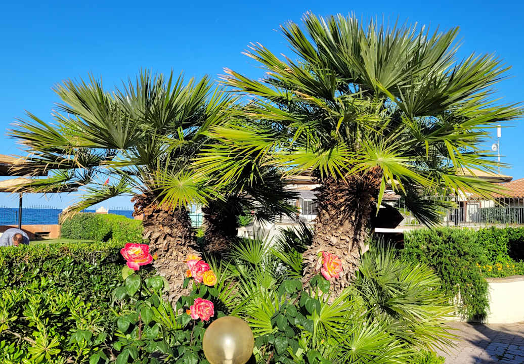 Gartenanlage Hotel L'Esagono