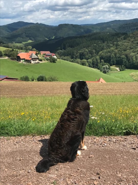 Ausblick S'Fleckli Bioland Ferienbauernhof