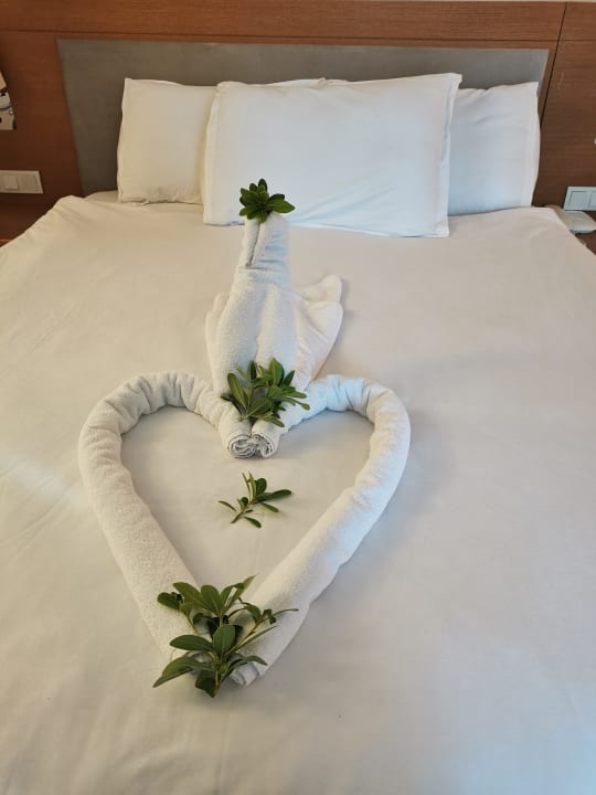 Zimmer Miramare Queen Hotel