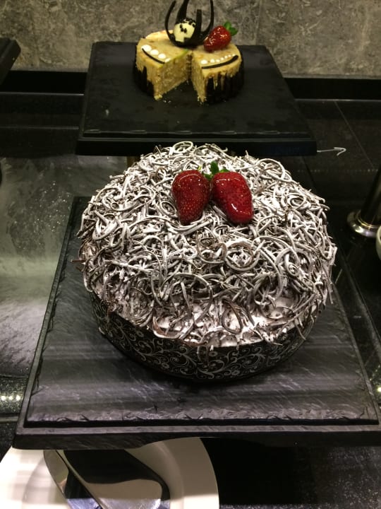 Gastro Seashell Vega