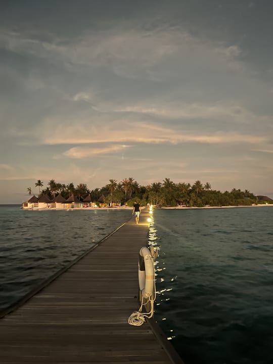 Gartenanlage Angaga Island Resort