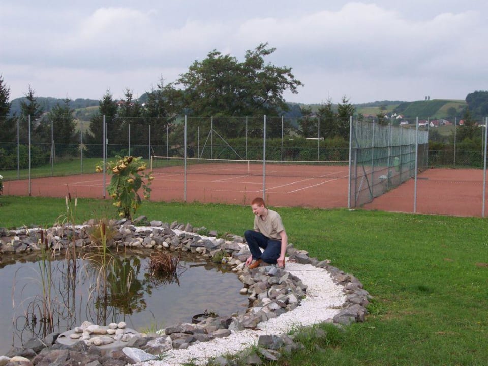 Tennisplatz Hotel Gasthof Scheer