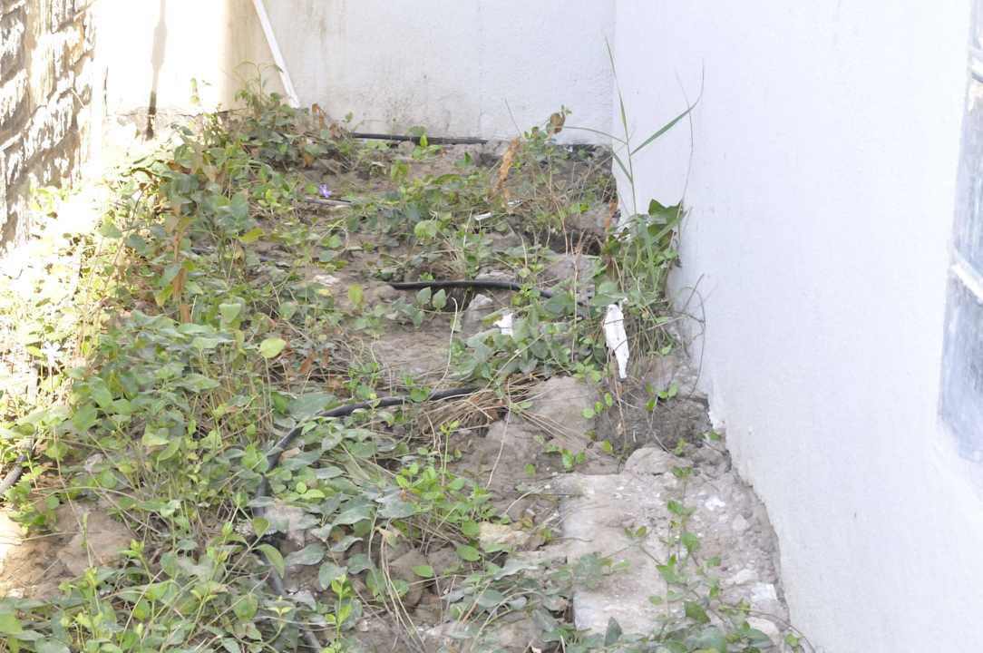 Zimmer 3110 MyElla Bodrum Resort & Spa