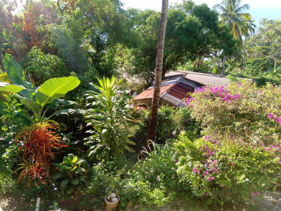 Ausblick Ozeanic Caribbean Hotel Apartment