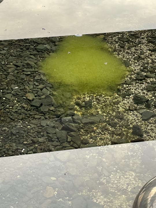 Außenansicht Linsberg Asia Hotel & Spa