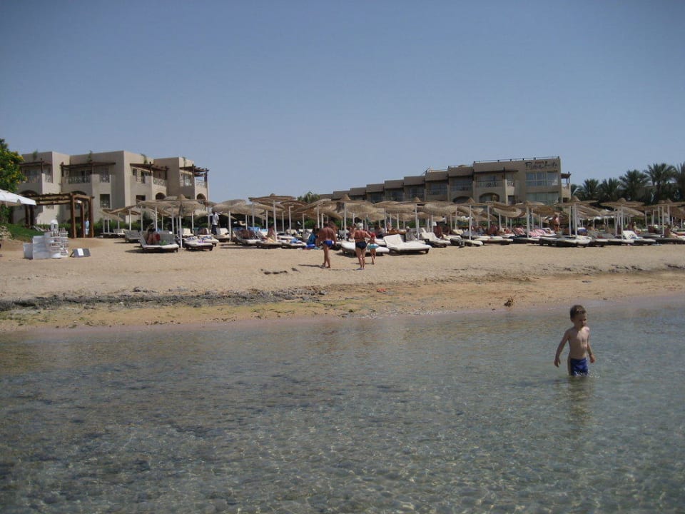 Hotelstrand mit Blick auf Hotel Prima Life Makadi Resort