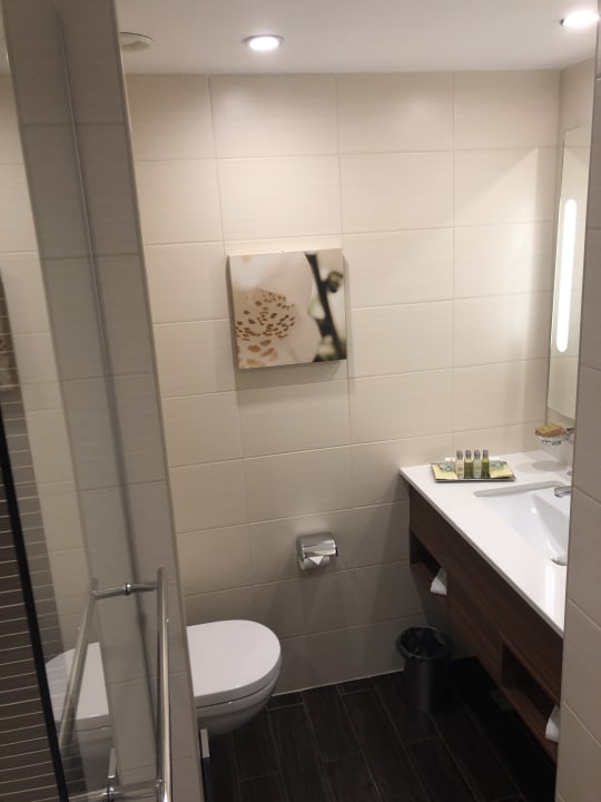 Zimmer Hilton Garden Inn Ufa Riverside