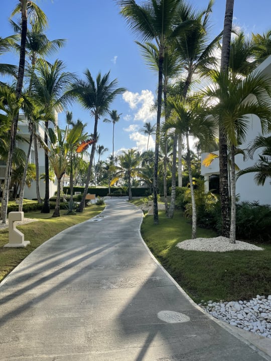 Gartenanlage Meliá Punta Cana Beach Resort - A Wellness Inclusive For Adults Only