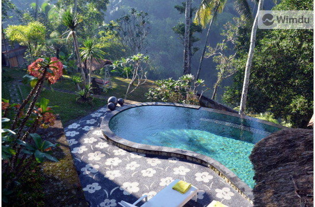 Swimming pool from the garden Villa Constance