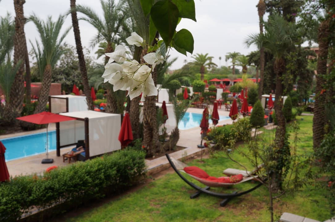 Pool Hotel Sofitel Marrakech Palais Imperial