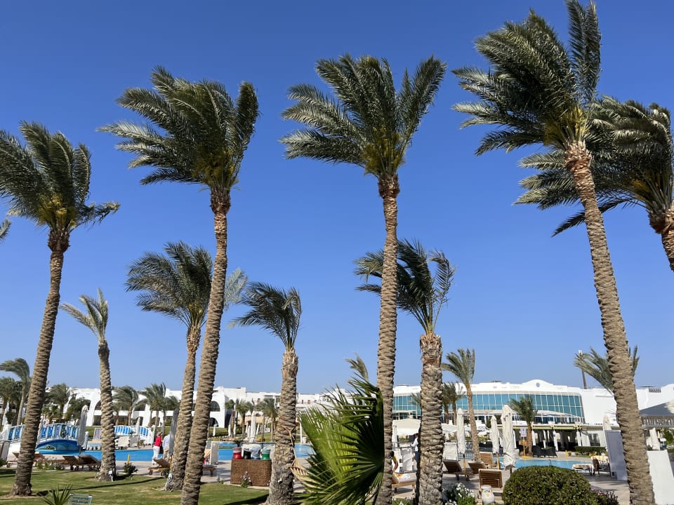 Garten Hilton Marsa Alam Nubian Resort