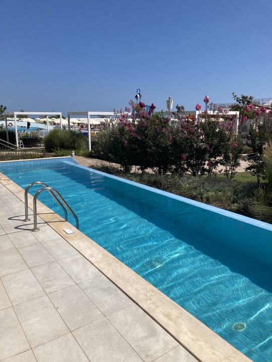 Pool Maritim Hotel Paradise Blue Albena