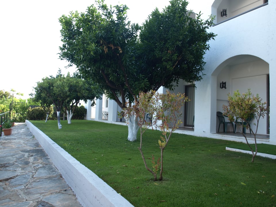 Gartenanlage Hotel Malia Holidays