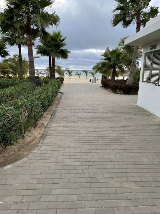 Ausblick Hotel Riu Palace Boavista