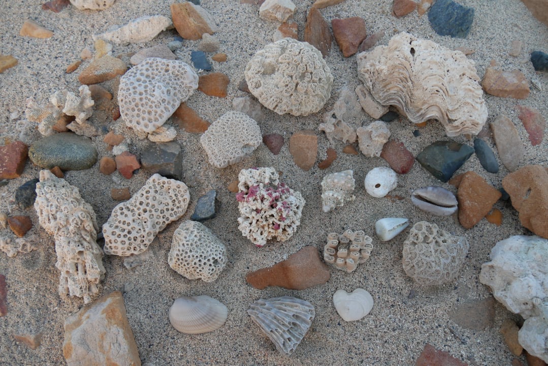 Strand Three Corners Equinox Beach Resort