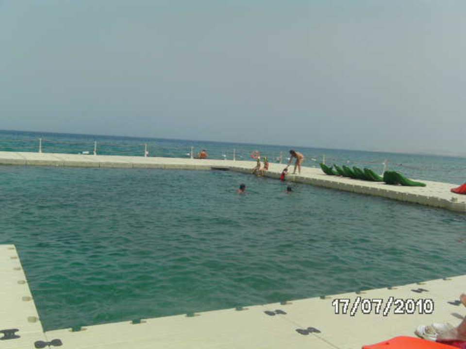 Meerespool Pickalbatros Palace Resort