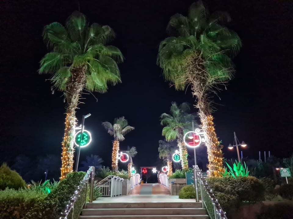 Gartenanlage Commodore Elite Suites & Spa - Adults only