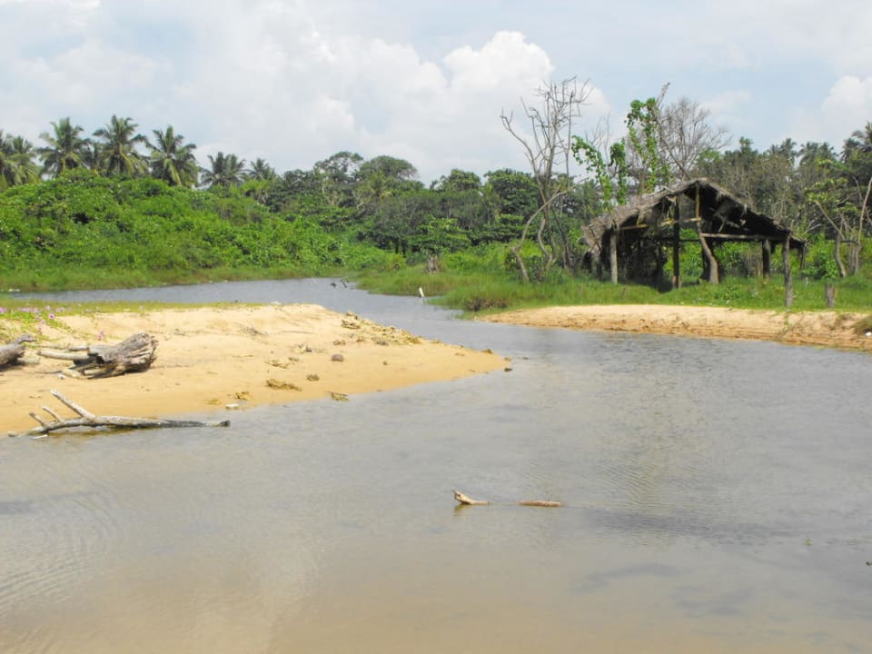 Neben dem Hotel Hotel Garden Beach