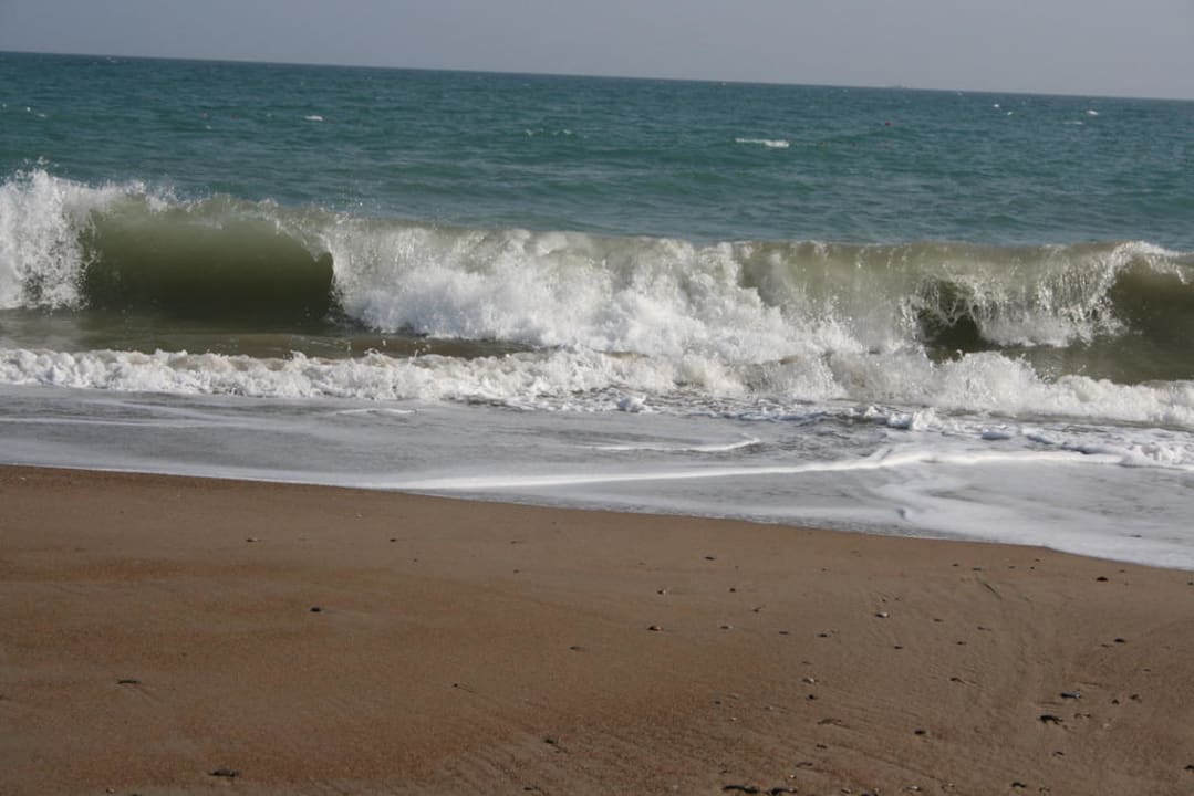 Schöne Wellen Royal Wings Hotel