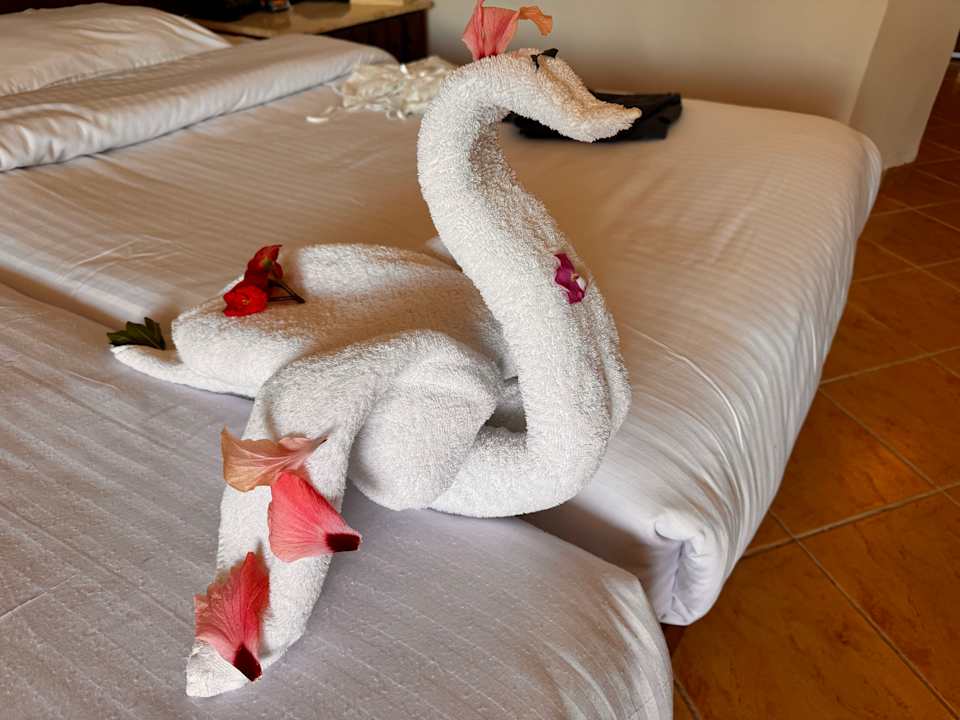 Zimmer Utopia Beach Club