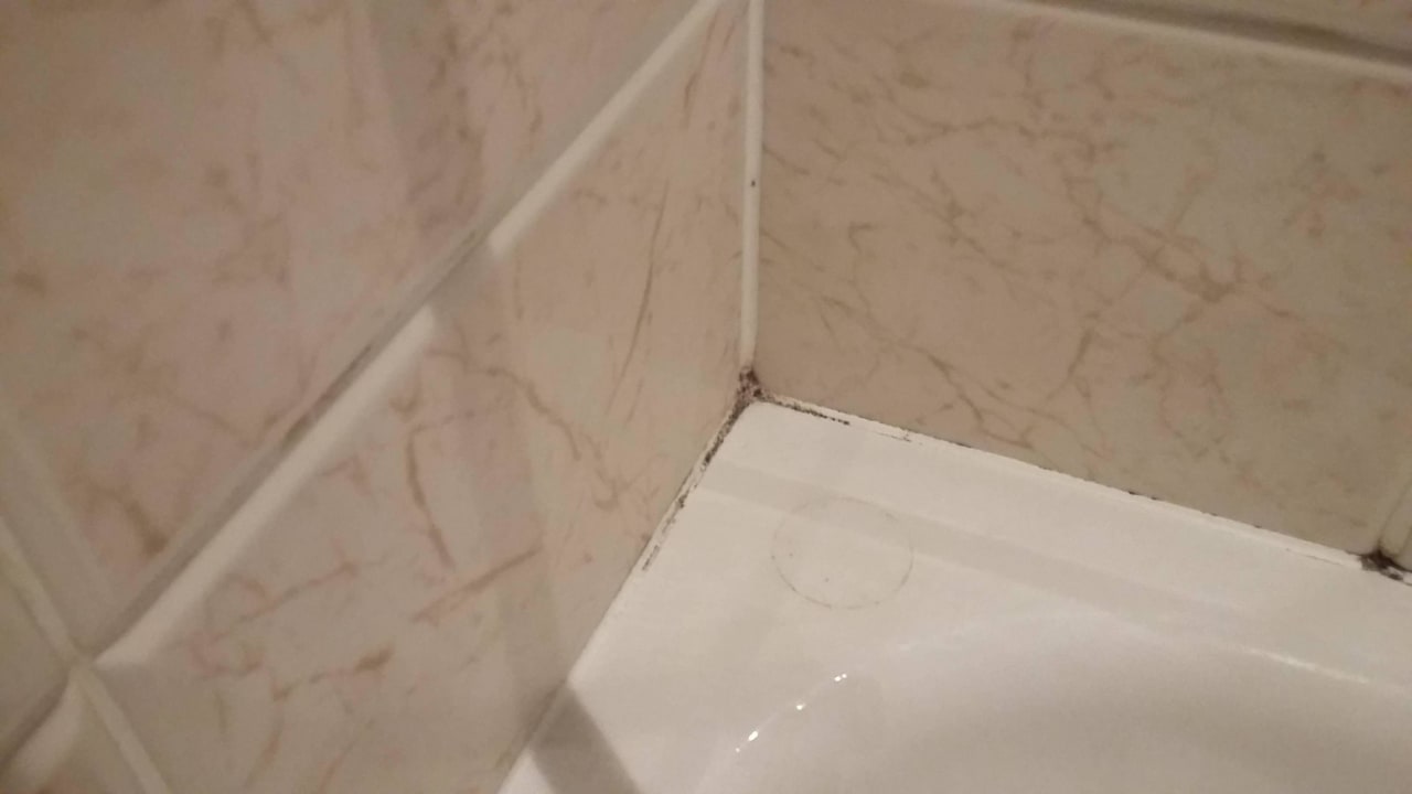 Schimmel Berghotel Hoher Knochen