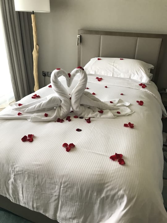 Zimmer Fujairah Rotana Resort & Spa