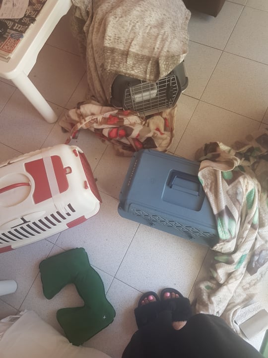 Sonstiges Bungalows Vistaflor